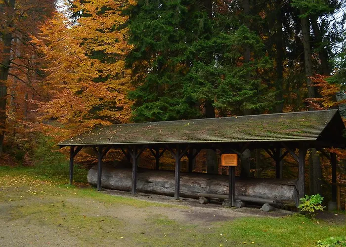 Nova * Nová Pec